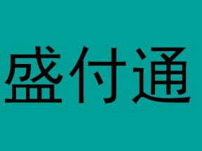 上海盛付通支付服务有限公司简介